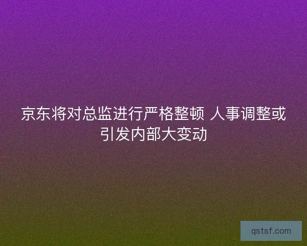 京东将对总监进行严格整顿 人事调整或引发内部大变动