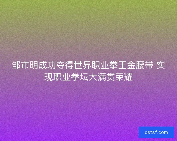 邹市明成功夺得世界职业拳王金腰带 实现职业拳坛大满贯荣耀