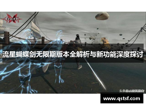 流星蝴蝶剑无限期版本全解析与新功能深度探讨