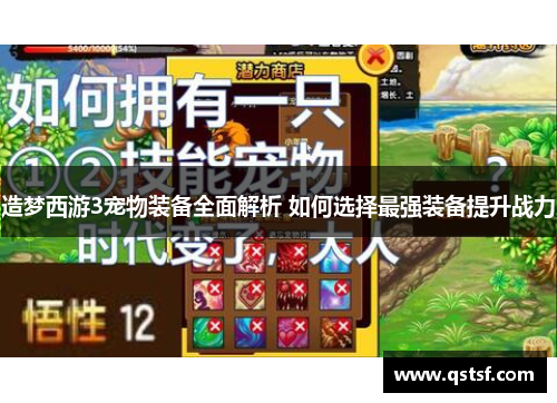 造梦西游3宠物装备全面解析 如何选择最强装备提升战力