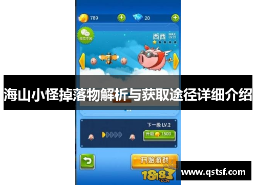 海山小怪掉落物解析与获取途径详细介绍